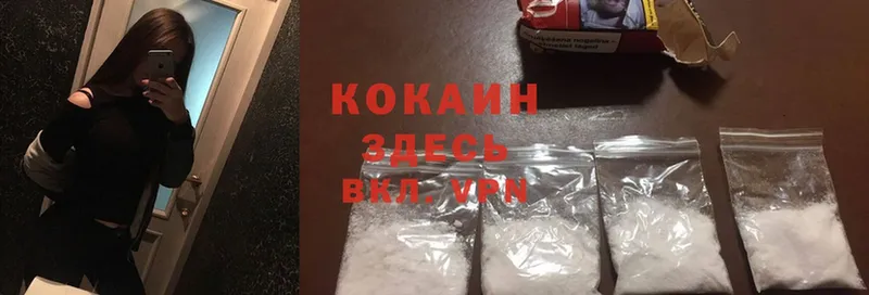 Cocaine FishScale  Каменногорск 