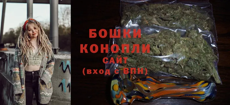 даркнет сайт  Каменногорск  Бошки марихуана SATIVA & INDICA 